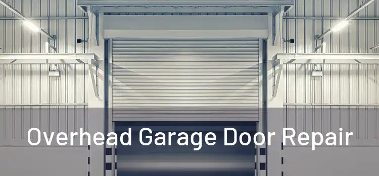  Overhead Garage Door Repair 